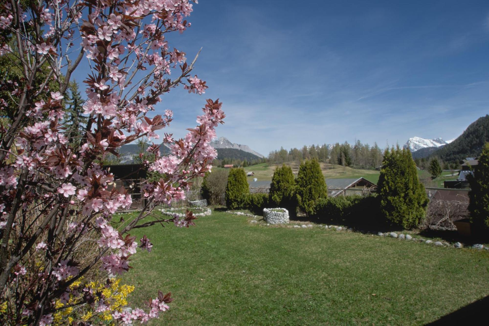 Haus Tannengruen Lägenhet Seefeld in Tirol Exteriör bild
